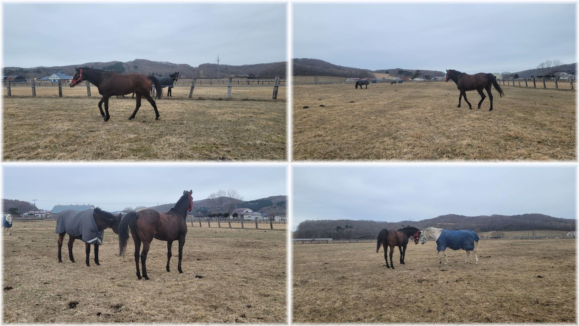 de8133c70b1be00e3453626cf949fe51-1773631300.jpg de8133c70b1be00e3453626cf949fe51-1773631300.jpg